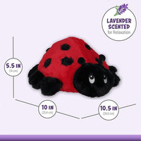 PREORDER: Ladybug Warm Pal