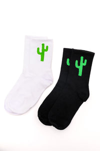 Sweet Socks Cactus